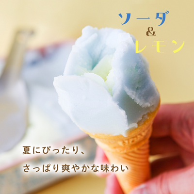 【送料無料】児玉冷菓のババヘラアイスタッパ2種セット