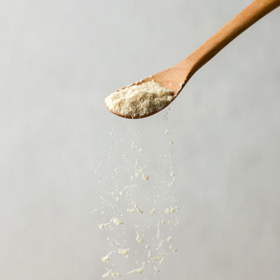 【通販限定】 UMAMY kitchen 比内地鶏コンソメスープの素 お徳用 300g
